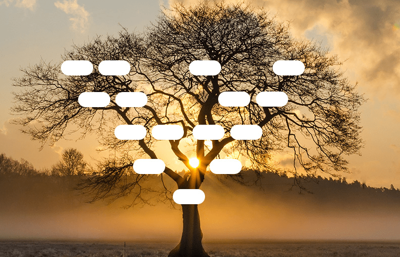 Arbre Généalogique Vierge Avec Frere Et Soeur Arbre généalogique Excel GRATUIT vierge à télécharger
